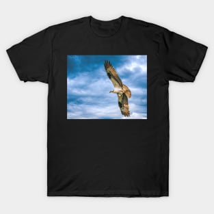 Osprey with Fish T-Shirt